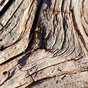 خشب الصندل<